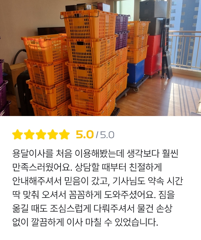 꼼꼼개미이사 리뷰