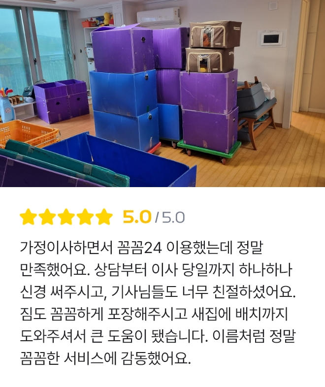 꼼꼼개미이사 리뷰